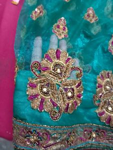 L LookADIRb net saree with superb contrast wit