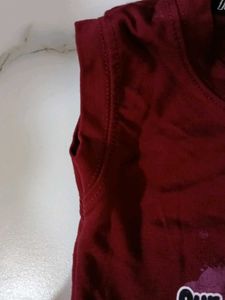Cute Animal T-Shirt