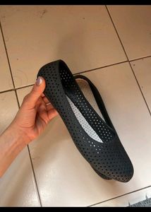Black Bellies Unused