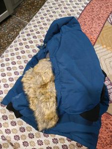 Stylish Blue Winter Jacket