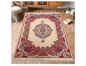 Traditional Oriental Area Rug