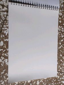 Sketch Book