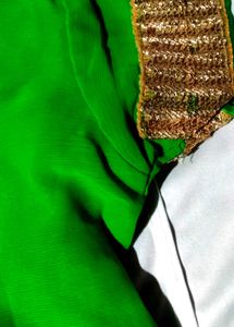 PRINCESS CUT DESVibrant Green Blouse with Gold TRI
