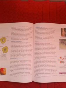 Living Science Biology Book Grade 7 ICSE