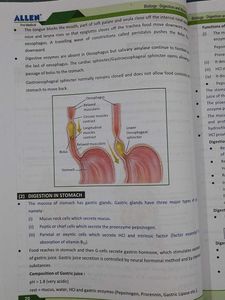 Allen NEET Module Phy,Chem,Bio for Class 11th