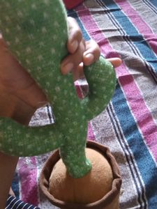 cactus Talking Doll