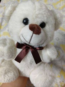Cute White Teddy Bear