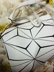 Fancy New Slinging Bag