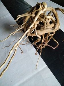 Natural Driftwood Branches and Roots