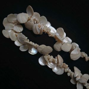 Mother Of Pearl  Shell Necklace