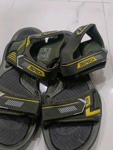 Zeelrokh Sport Sandals