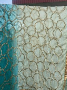 Beautiful Teal Embroidered Dupatta