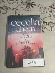 The Year I Met You by Cecelia Ahern