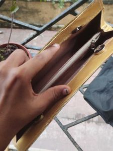 Elegant Clutch