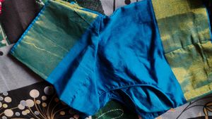 Elegant Blue Saree with Gold Border