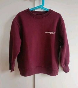 ZARA Sweatshirt