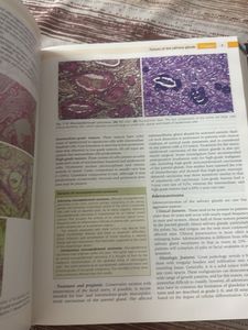 Shafer's Textbook of Oral Pathology