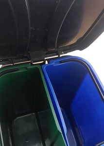 Nayasa 2-in-1 Pedal Dustbin - 33 L