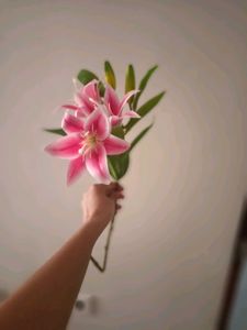 lily flower stick