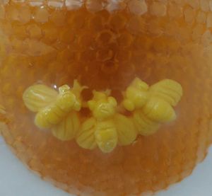 Honey Bee Honeycomb Soap