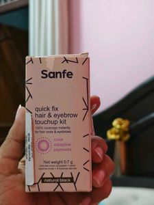 Sanfe Quick Fix Hair & Eyebrow Touchup Kit