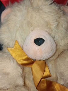 Soft Teddy Bear Plush Toy