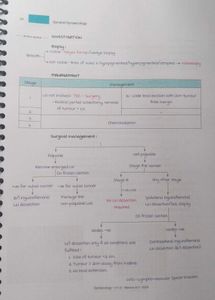 GYN ED 8.0 V 11.0 Notebook