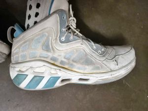 adidas white basketball shoe
