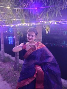 Elegant Blue Saree