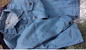 Light Wash Denim Jacket