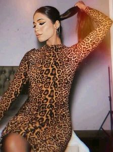Sheer Cheetah Print Dress