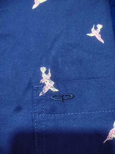 Amazing Stylish Colour plus Brand Men's Blue Bird