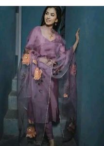 New Organza Kurta Set