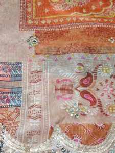 Pure Organza Work Duptta