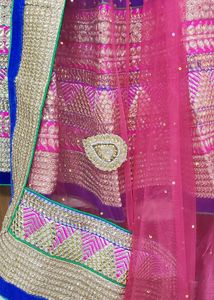 Embellished Blue pink Chiffon lehnga