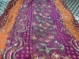 Vibrant Saree with Sequins