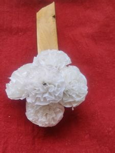 Hair Brooches