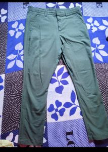 Unisex Green Pant