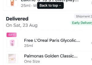 PALMONAS Gold Hoop Earrings