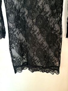 Elegant Sheer Black Lace Collared Dress