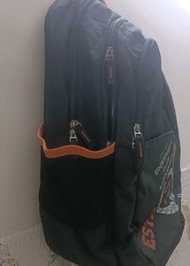 Skybags Backpack - fits laptop upto 18 inches