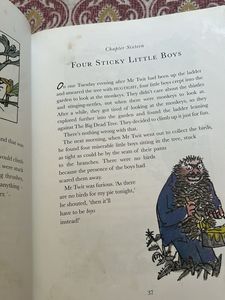 Roald Dahl The Twits Book