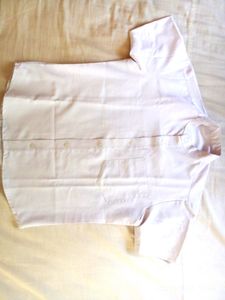 Shirt S Size