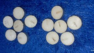 Set of 20 Tealight Candles