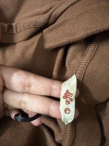Brown Long Sleeve Collared Top