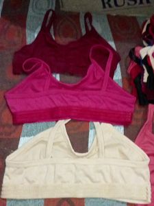 Fensi Sports Bra