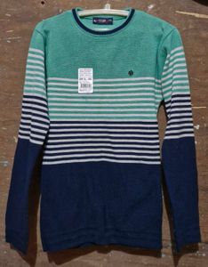 Striped Crew-Neck Knit Sweater