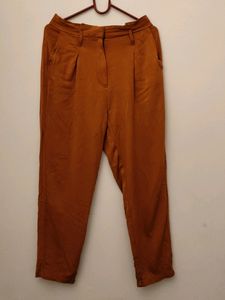 Stylish Rust Colored Pleated Trousers