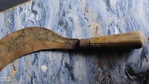 Trees Cutting Knife