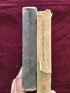 Classic Novels: Gorky &amp; Tolstoy